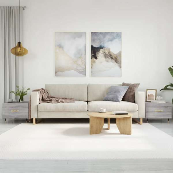 vidaXL Couchtische 2 Stück Grau Sonoma 50x50x40 cm Holzwerkstoff, 829361