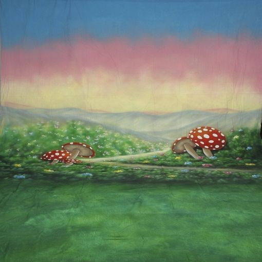 Walimex pro Motiv-Stoffhintergrund 'Alice', 3x6m, 1015829