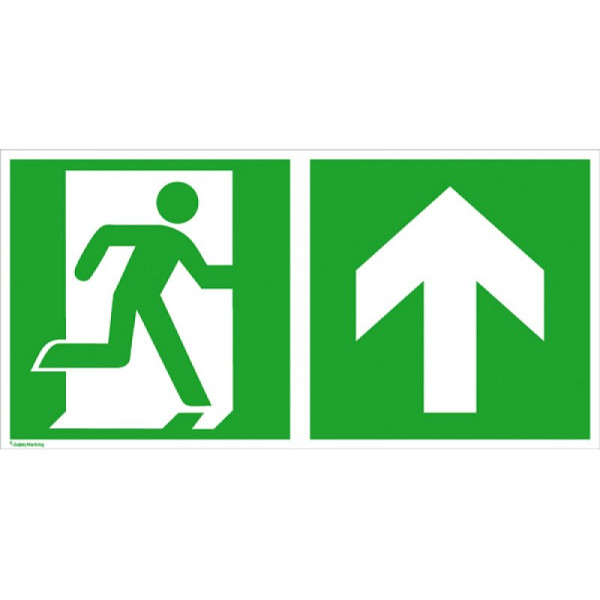 Stein HGS Rettungsschild Notausgang (rechts) mit Richtungspfeil aufwärts bzw. geradeaus, 600 x 300 mm, Alu, beschichtet, 15.3050