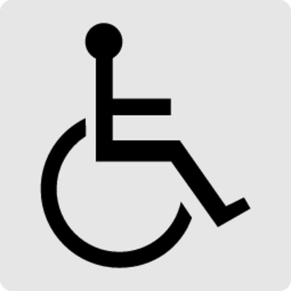 Schilder Klar Piktogrammschild WC Barrierefrei, 60x60x0.5 mm Aluminium glatt, 1293/51