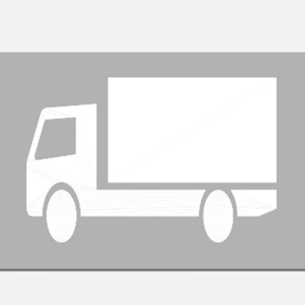 Stein HGS Straßenmarkierung aus Thermoplastik -Sonderzeichen LKW-, 12012