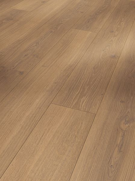 Parador Laminat Trendtime 6 Eiche Studioline honig Naturmattstruktur 4-seitige V-Fuge, VE: 5 Stück, 1744708