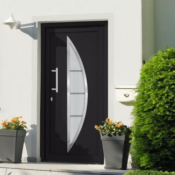 vidaXL Haustür Anthrazit 98x208 cm, für den Eingangsbereich, 279214