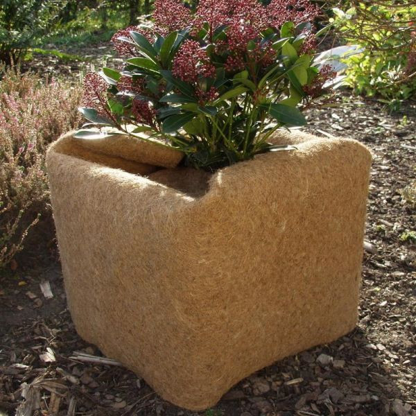 NOOR Kokosmatte Kokosvlies Kokos Winterschutz 0,5 x 1,5m, 150001