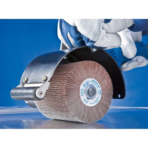 Pferd Fächerwalze FR-W 100100 A 150, 44783150