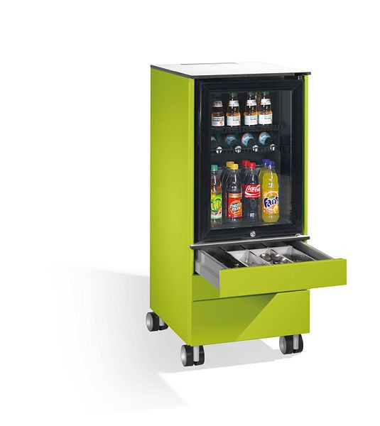 C+P Kühlschrank-Caddy Asisto, H1157xB500xT600mm, Farbe: Viridingrün / Viridingrün, Griffleiste, 54780-000 S10042