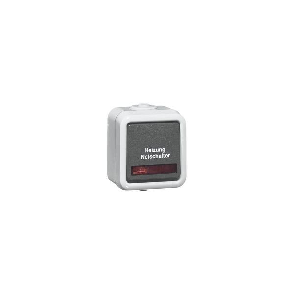 PEHA Wippschalter AP 10A, 250V, grau/glänzend, Kontrolle D626WABHN, 120275