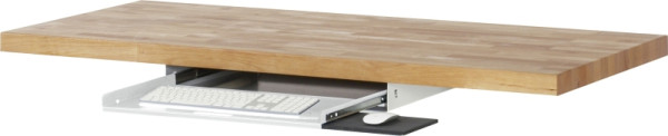 RAU Tastaturauszug 1, B640xT485xH85mm, RAL7035, 09-TA1.12