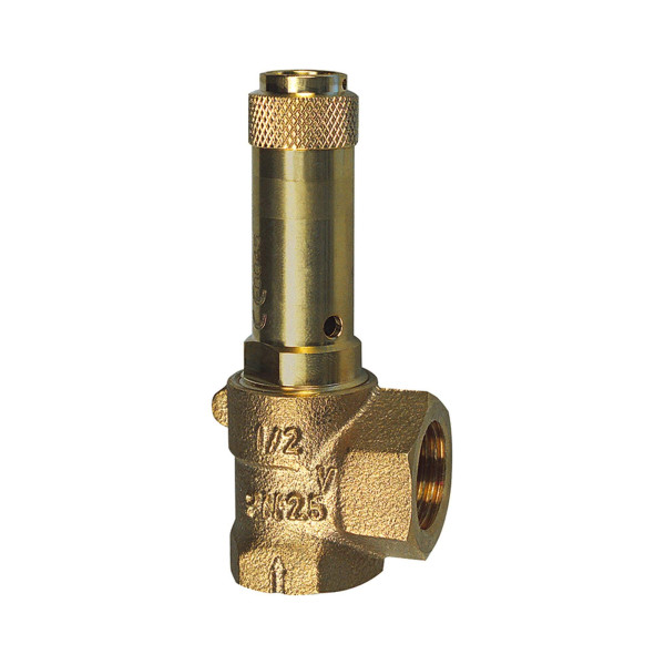 Riegler Eck-Sicherheitsventil, Flüssigkeiten, G 2, Ansprechdruck 12 bar, 208519