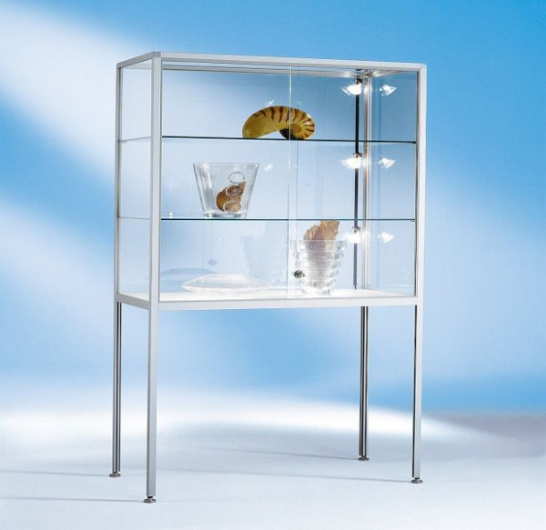 BST Hochbeinvitrine mit Alurahmen, 2 Böden, Schiebetüren, 1200x500x1950(1210)mm (BxTxH), NICE-VS1205 (VV1205)