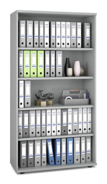 Deskin Regal MULTI M pro, Dekor: Lichtgrau, BxHxT: 1000 x 1890 x 420 mm, 250379