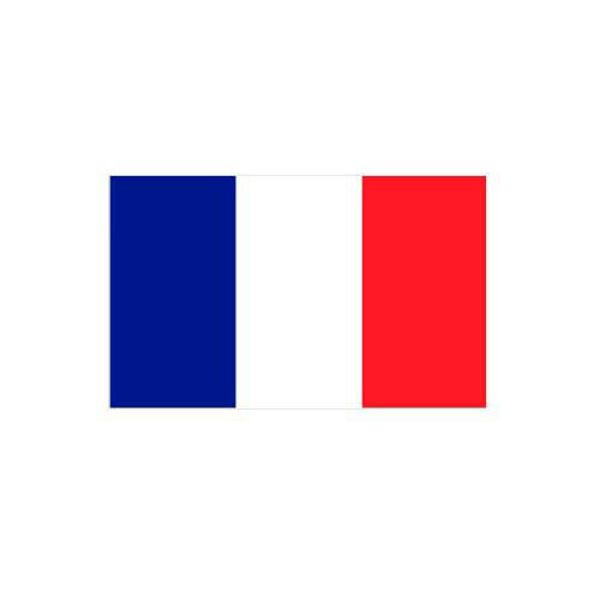 Stein HGS Länderflagge Frankreich, 120 x 200 cm (Querformat), mit Seil und Schlaufe, FlagTop 110 g/m², für Fahnenmasten 7 m, ohne Hohlsaum, 26928