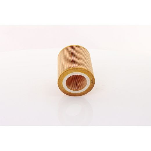 ELMAG Luftfilter für RMA 15 IVR, (6211472300), 9101930, 9000091019302