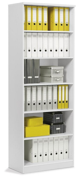 Deskin Regal MULTI M, Dekor lichtgrau, B 800 x H 2200 x T 420 mm, 269600