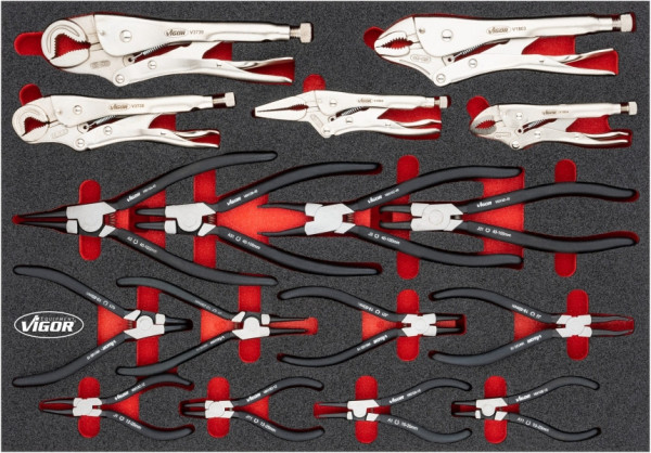 VIGOR Zangen Satz, Anzahl Werkzeuge: 17, V6816N, 4047728078801