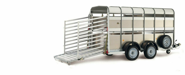 Ifor Williams Anhänger TA5 250x155x182 cm, mit Rampe, SW11680