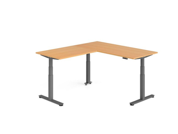 Hammerbacher Sitz-Steh-Winkeltisch 200x180cm Buche/Graphit, VXDSMW1912/6/G