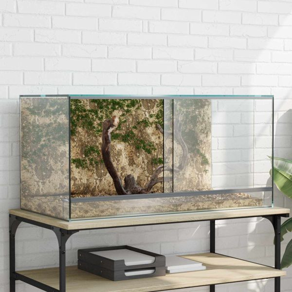 vidaXL Reptilien- und Amphibienhabitate Weiß 80 x 40 x 40 cm Glas, 42020392