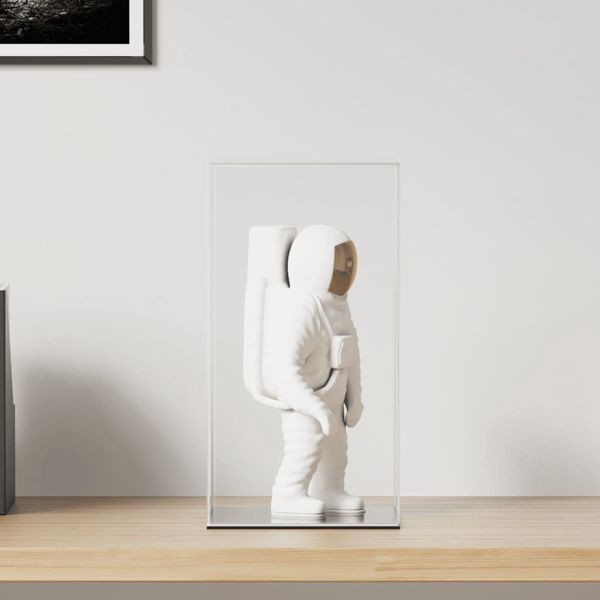 vidaXL Vitrine Transparent 20x20x38 cm Acryl, 154898