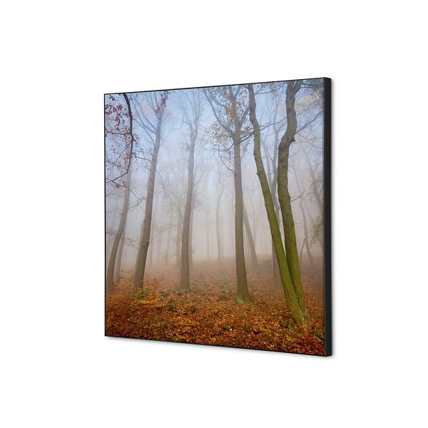 Showdown Displays Spannstoff Wanddekoration SET 40 x 40 Herbstnebel, TFR22W400-SET-I823
