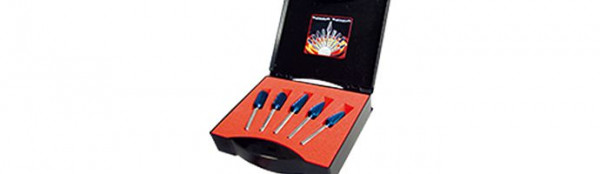 Karnasch BLUE-TEC 5-er Frässtift-Satz d=12mm, 114926