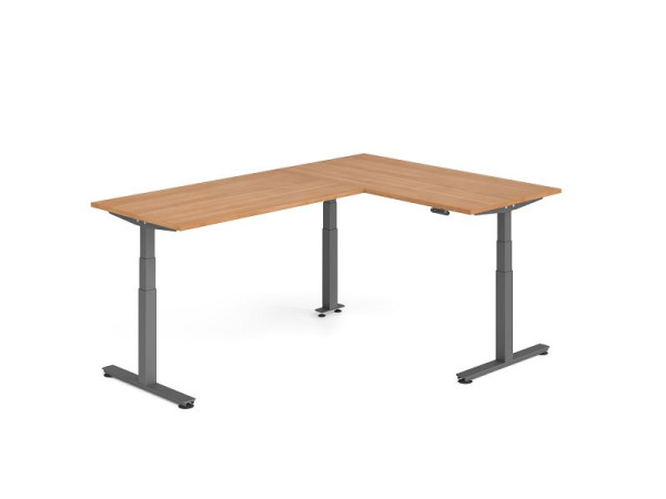 Hammerbacher Sitz-Steh-Winkeltisch 240x160cm Nussbaum/Graphit, VXDSMW1616/N/G