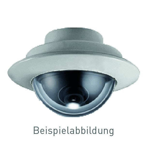 TCS Türkontrollsystem Einbau IP-Dome Kamera zum Einsatz in TCS-Türkommunikationsanlagen, H-IP-KAM-D-EB