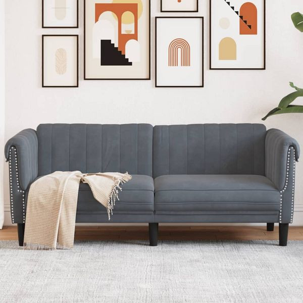 vidaXL Sofa 2-Sitzer Dunkelgrau Samt, 372576, 8721012399624