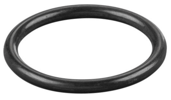 REMS O-Ring, Maße (LxBxH): 25 x 25 x 2 mm, Gewicht: 0,0004 kg, 060008