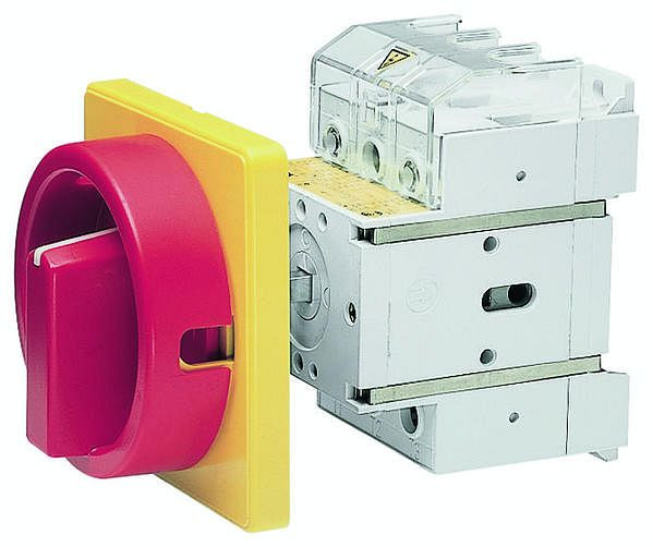 Elektra Tailfingen D6 00/HS-EF55-D-RG Haupt-NOT-AUS Schalter für Bodenbefestigung, 36001210