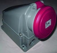 Elektra Tailfingen CO516/6h 16A 5-polig CEE Wandsteckdose+Würgenippel isogekapselt, 62874