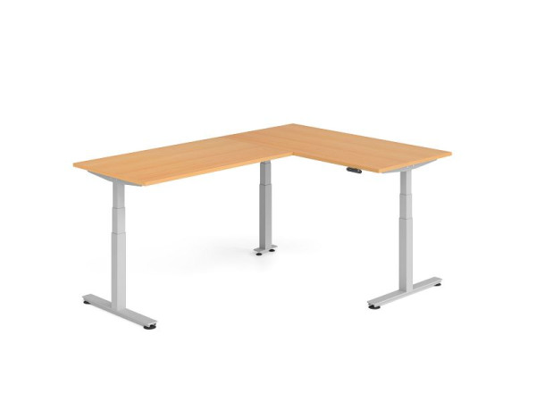 Hammerbacher Sitz-Steh-Winkeltisch 240x160cm Buche/Silber, VXDSMW1616/6/S