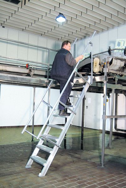 Euroline Treppe - Steigwinkel 45° - Stufenbreite 600mm mit 14 Stufen, 3,08m senkrechte Leiterhöhe, 5104114