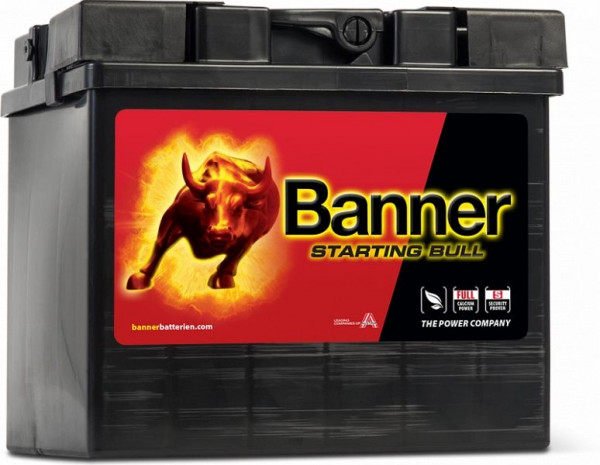 Banner Starting Bull 530 34 PKW Batterie in Erstausrüsterqualität, 010530340101