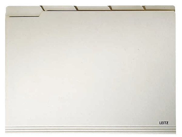 LEITZ 2434 Einstellmappe mit Taben, 2434-00-11, 4002432305155