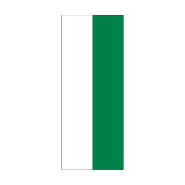 Stein HGS Landesflagge Sachsen (ohne Wappen), 300x120cm, FlagTop 110 g/m², für Fahnenmasten 7m mit Hohlsaum für Ø 4cm Ausleger, 26546