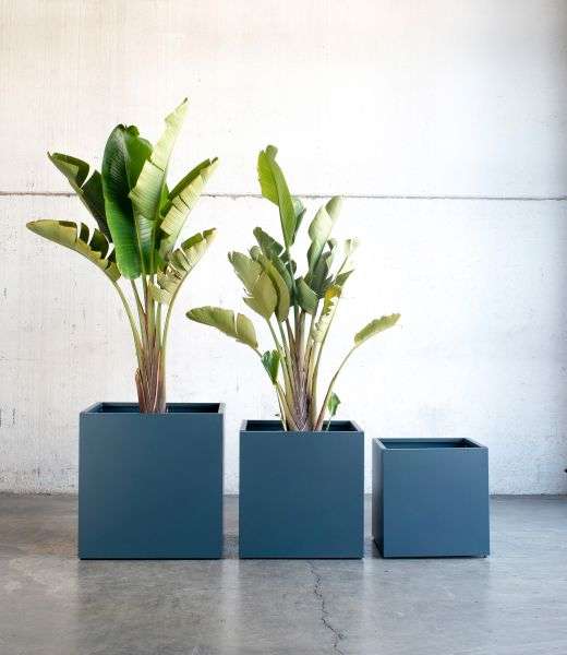 Herstera Garden Pflanzkasten 50x50x50 Anthrazit HG08976805 gnstig  versandkostenfrei online kaufen: groe Auswahl gnstige Preise |  PROFISHOP.de
