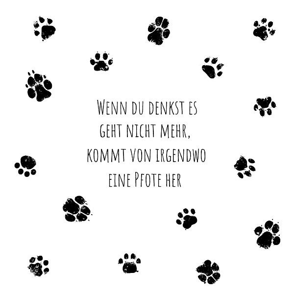 PAPER+DESIGN Lunchservietten Katzenpfoten - 33 x 33 cm, VE: 20 Stück, 206175