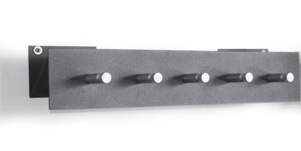 Deskin Wandgarderobe mit 5 Rundhaken silbermetallic, Silbermetallic mit 5 Rundhaken, Hakenanordnung gerade, H 90 mm x B 500 mm, Gewicht 3 kg, 252738