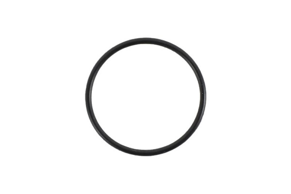 Mirka O-Ring MPP2315 für PBS 13, 8995133151