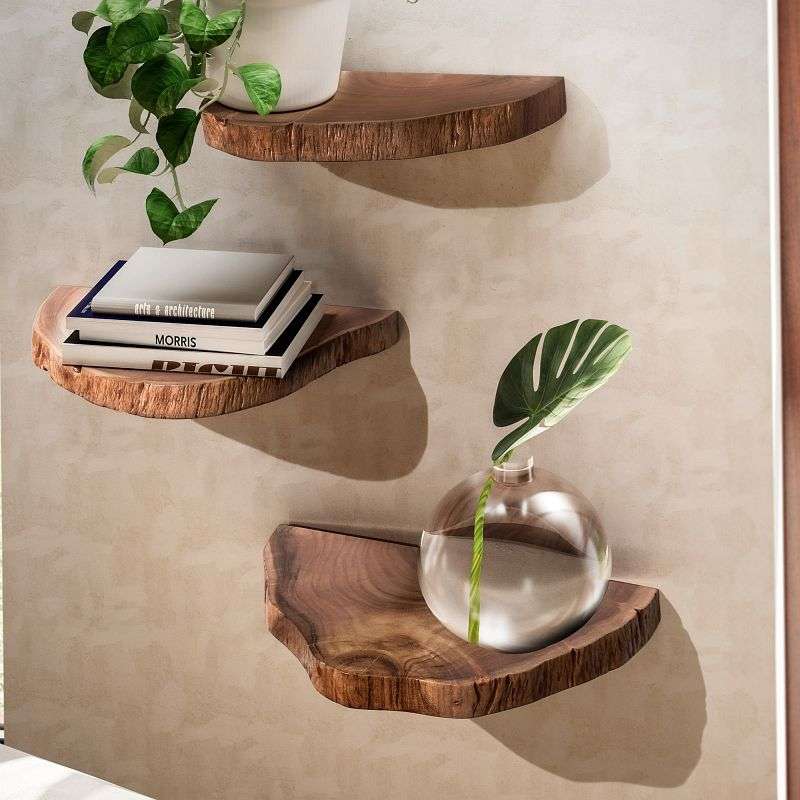 Wohnling Wandregal 3er Set Akazie Vollholz Hängeregal Baumscheibe Natur Pflanzentreppe für die Wand Schweberegal Hängend mit Baumkante WL6.776 günstig versandkostenfrei online kaufen: große Auswahl günstige Preise